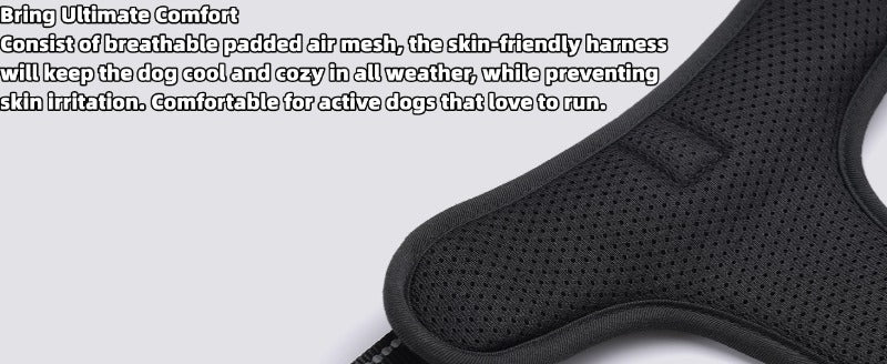 Close-up of breathable padded air mesh inside the Ruffzen harness