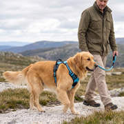 Ruffzen harness thumbnail