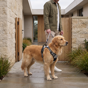 Ruffzen harness thumbnail