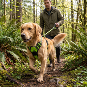 Ruffzen harness thumbnail