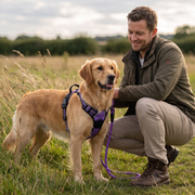 Ruffzen harness thumbnail