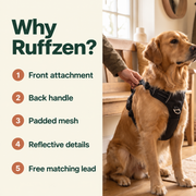 Ruffzen harness thumbnail