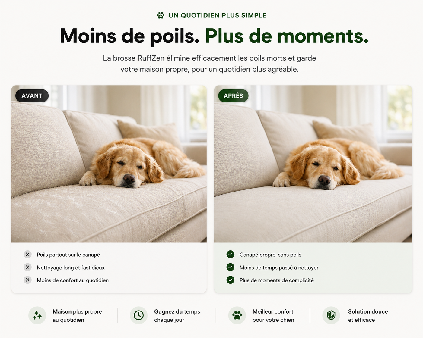 Comparaison avant et après : un golden retriever sur un canapé avec des poils visibles, puis le même canapé propre