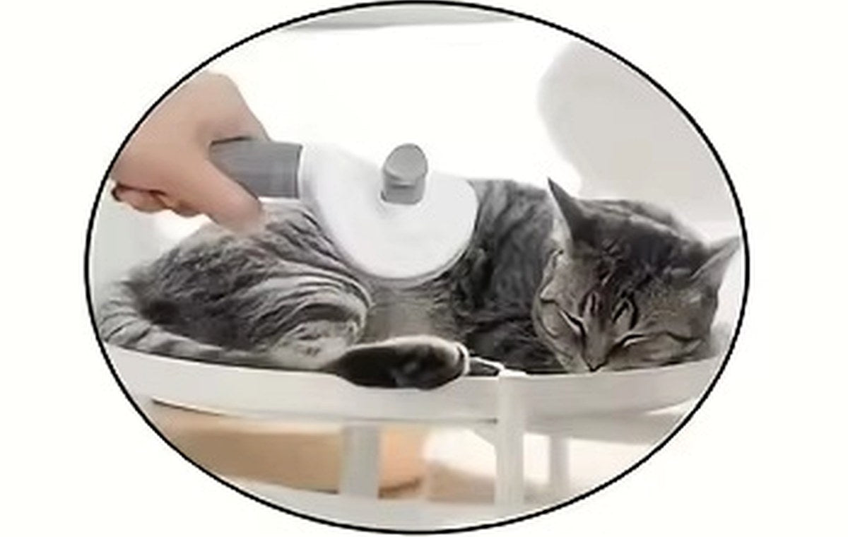 Utilisation soignée d’un produit RuffZen avec un animal